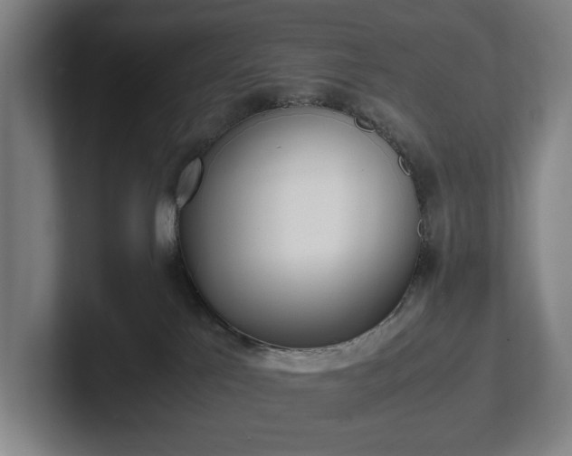 X0000101990041200807251235