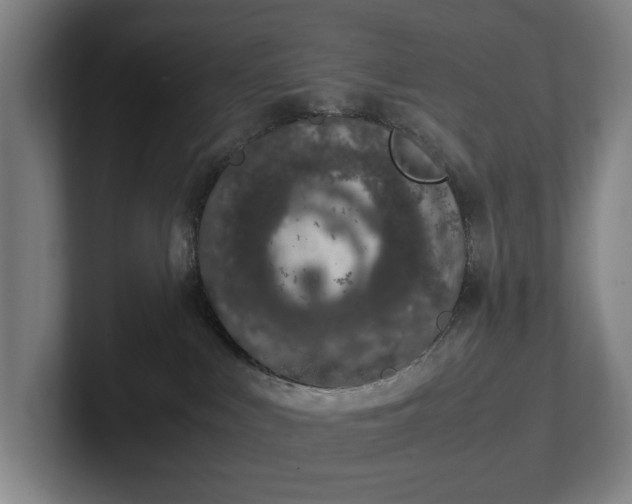 X0000101990043200807251235