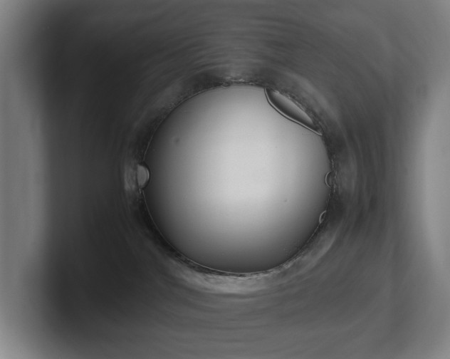 X0000101990044200807251235