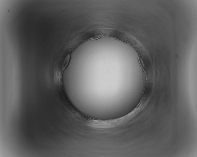 X0000101990045200807251235