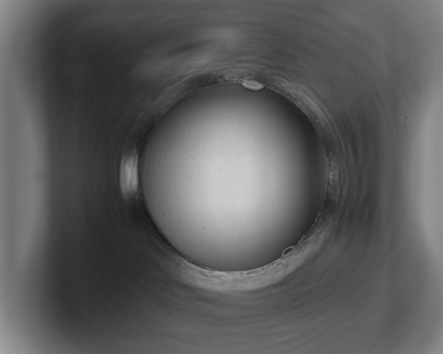 X0000101990046200807251235