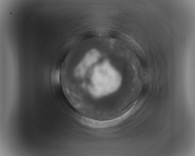 X0000101990047200807251235