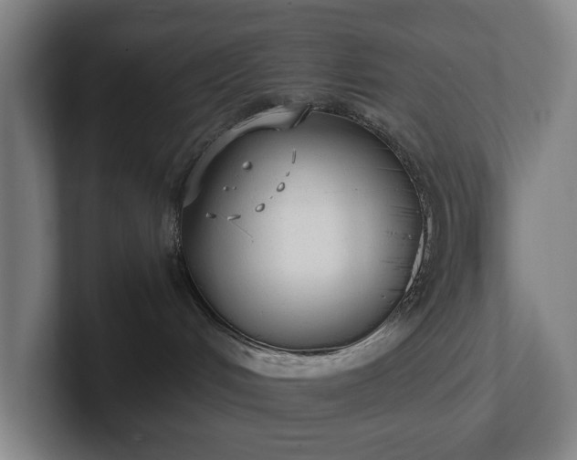 X0000101990048200807251235