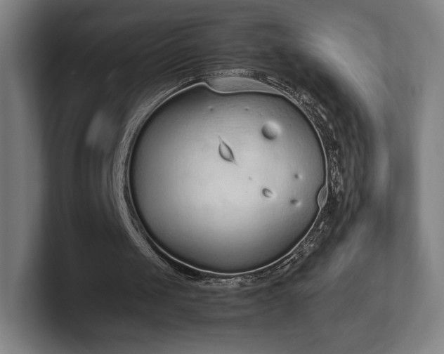 X0000101990049200807251234