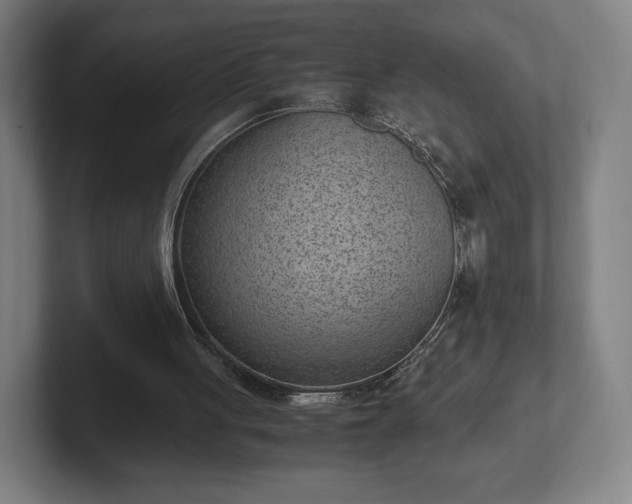 X0000101990051200807251234