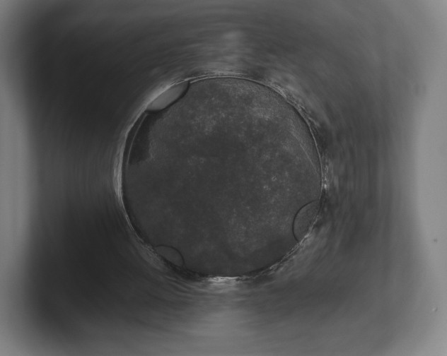 X0000101990052200807251234