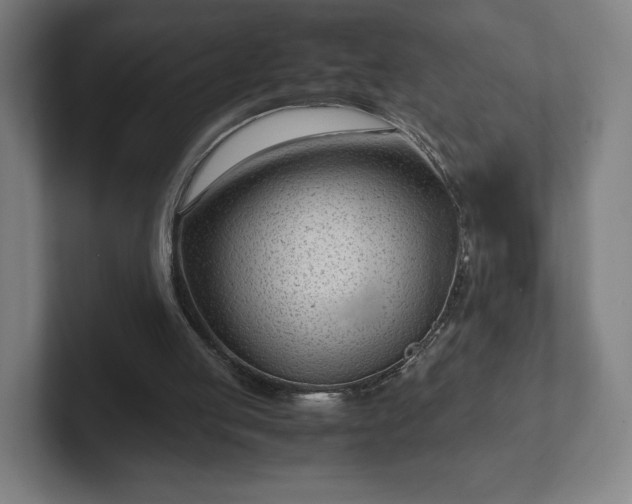 X0000101990053200807251234