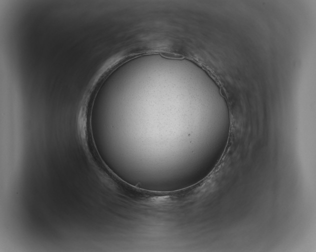 X0000101990054200807251234