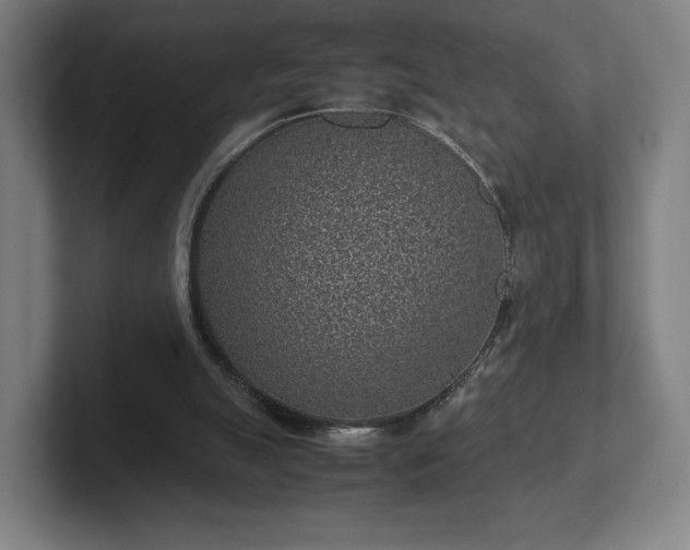 X0000101990055200807251234