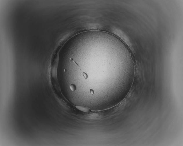 X0000101990058200807251234