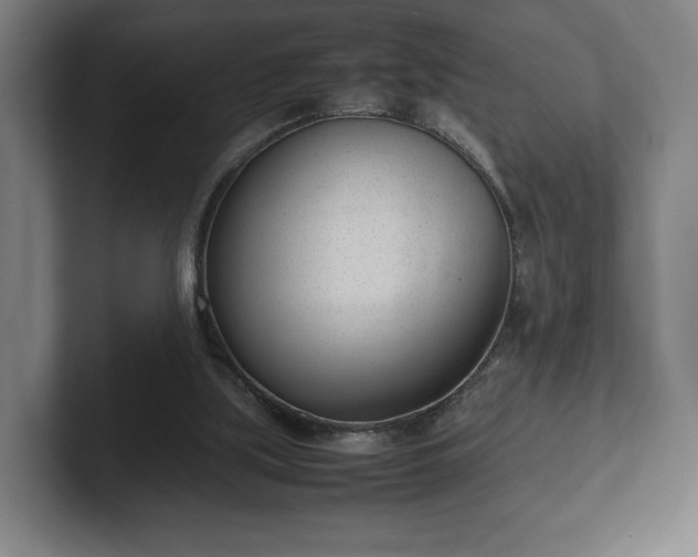 X0000101990059200807251234