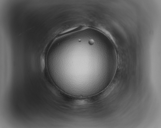 X0000101990061200807251234