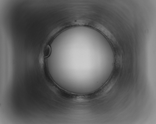 X0000101990064200807251234