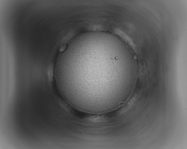 X0000101990065200807251234