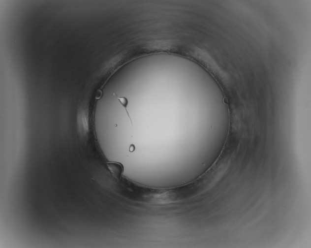 X0000101990068200807251234