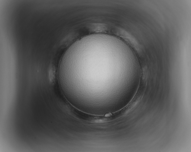 X0000101990073200807251234