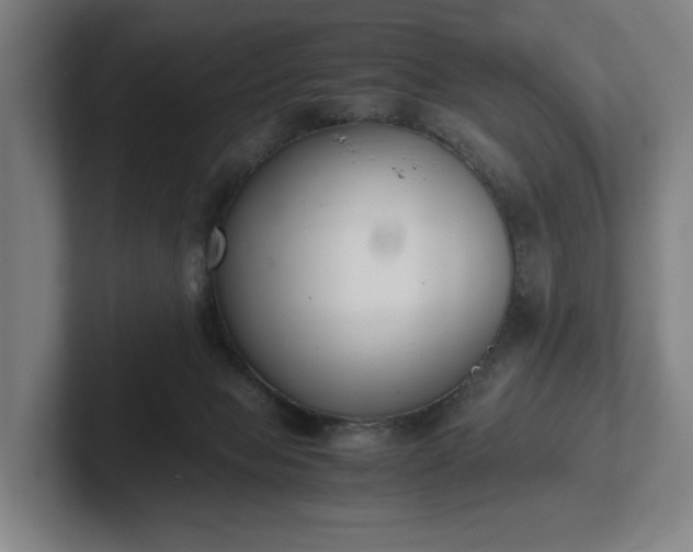 X0000101990077200807251234