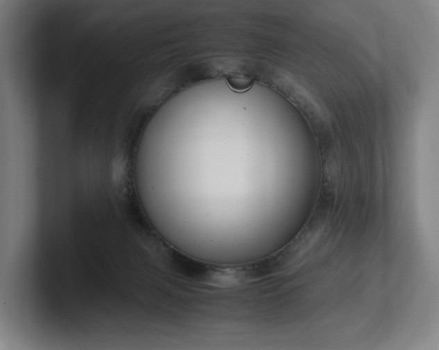 X0000101990079200807251234