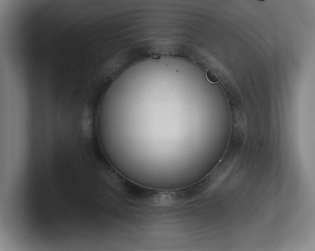 X0000101990080200807251234