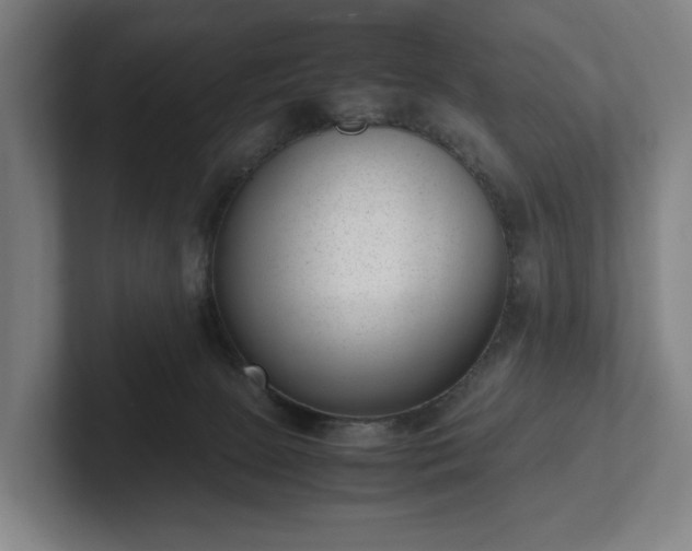 X0000101990081200807251234