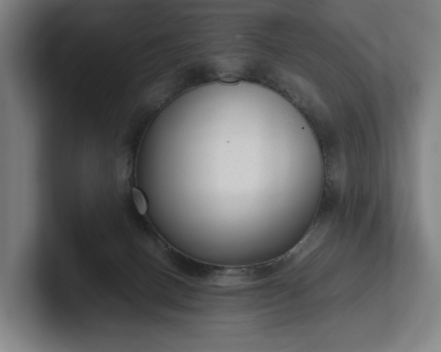 X0000101990082200807251234