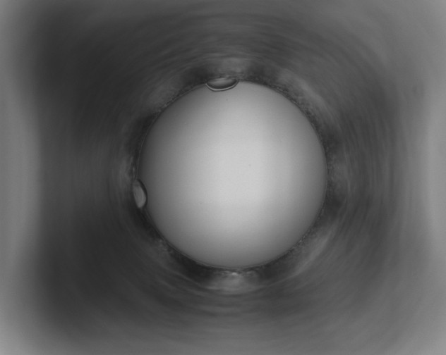 X0000101990083200807251234