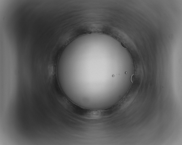 X0000101990084200807251234