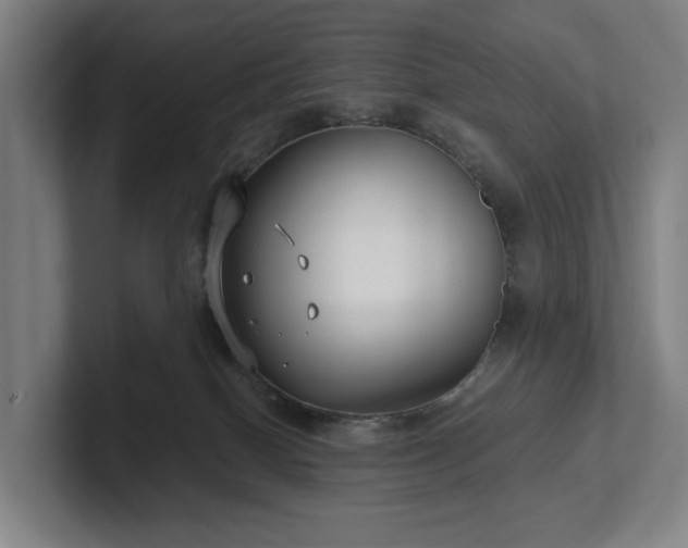 X0000101990086200807251234