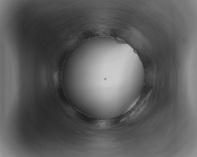 X0000101990088200807251234