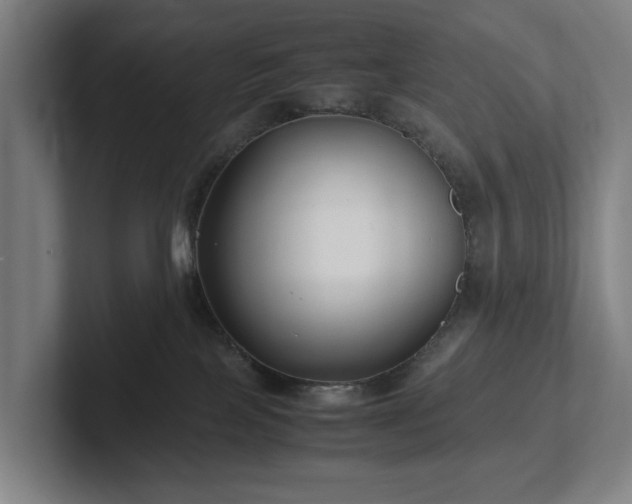 X0000101990089200807251234