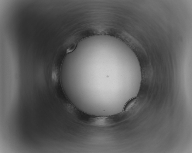 X0000101990090200807251234