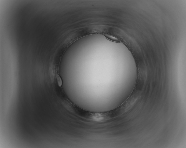 X0000101990091200807251234