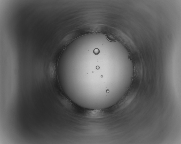 X0000101990092200807251234