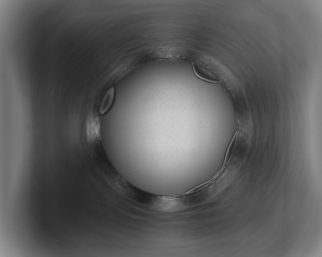 X0000101990095200807251235