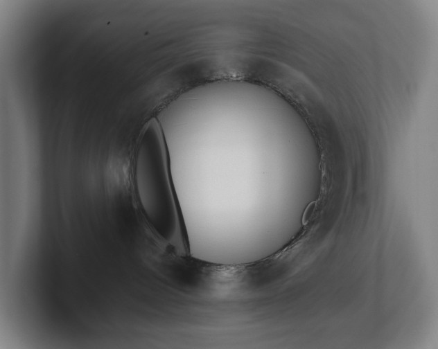 X0000101990096200807251235