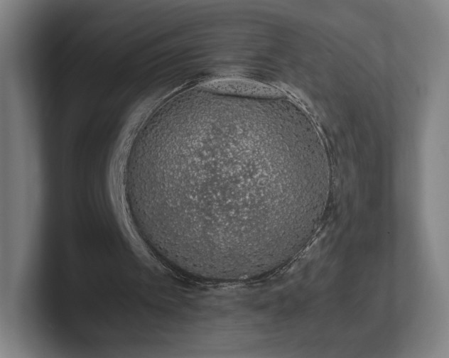 X0000101990097200807251234