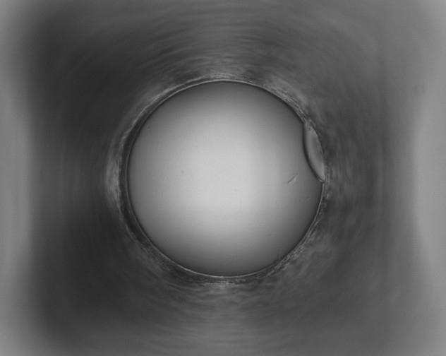 X0000101990098200807251234