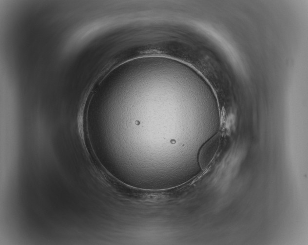 X0000101990099200807251234