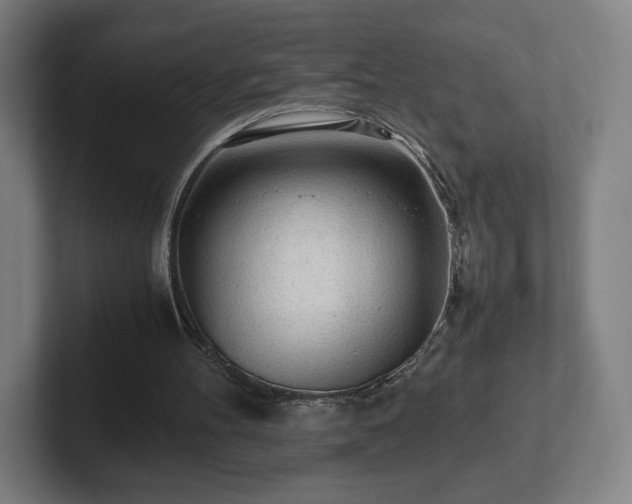 X0000101990100200807251234