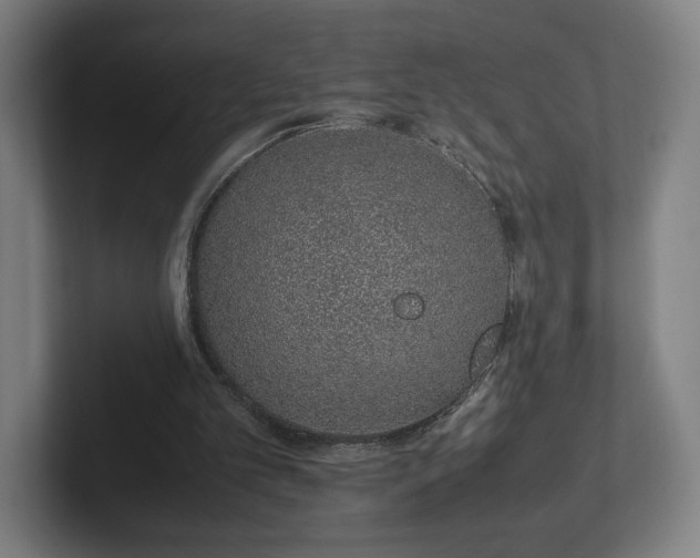 X0000101990101200807251234