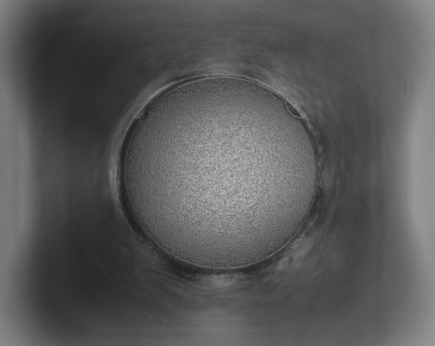 X0000101990103200807251234