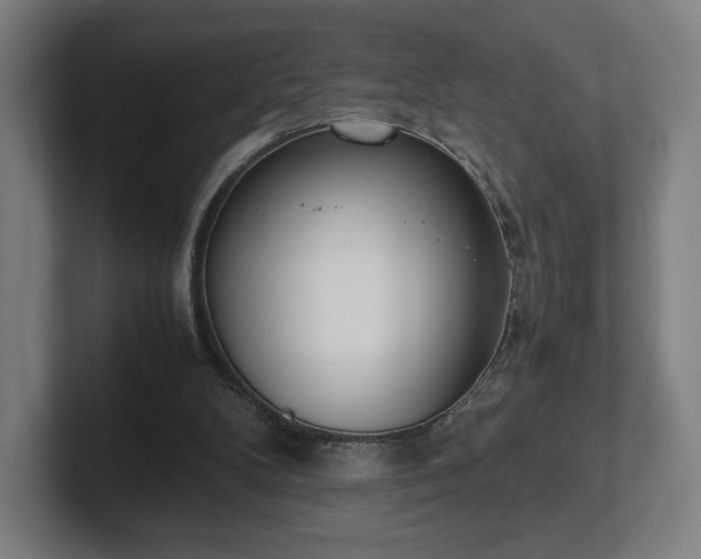 X0000101990104200807251234