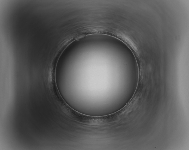 X0000101990105200807251234