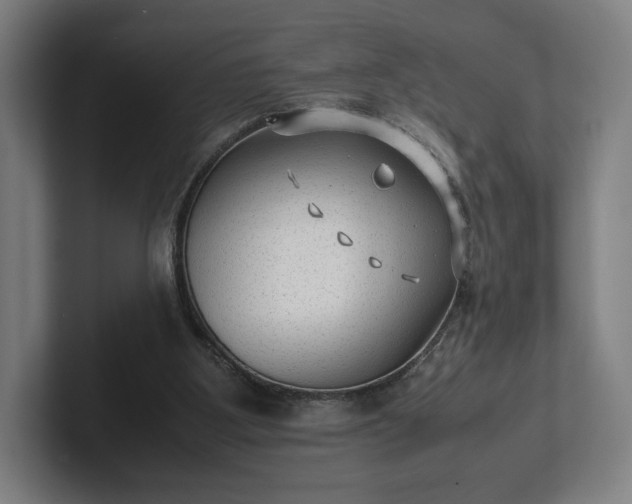 X0000101990107200807251234