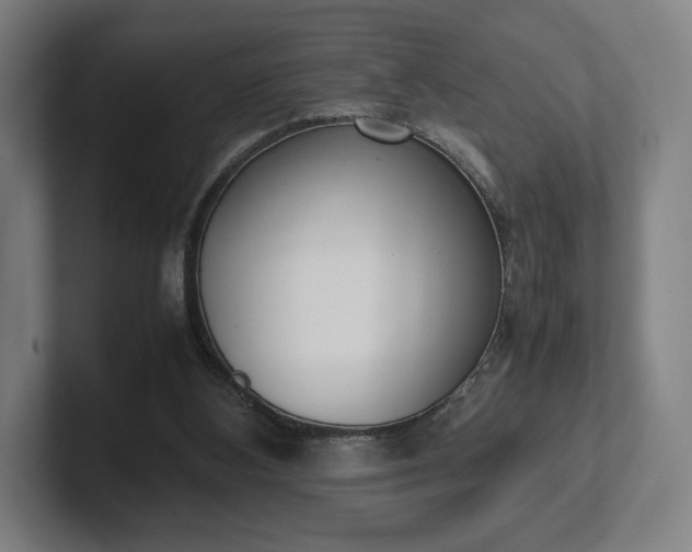 X0000101990108200807251234