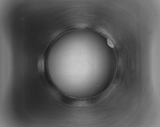 X0000101990110200807251234