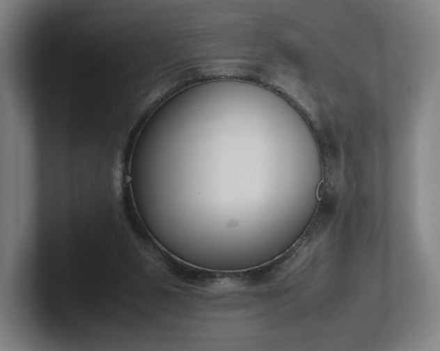 X0000101990111200807251234