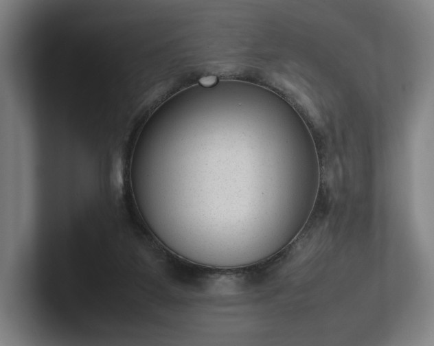 X0000101990115200807251234