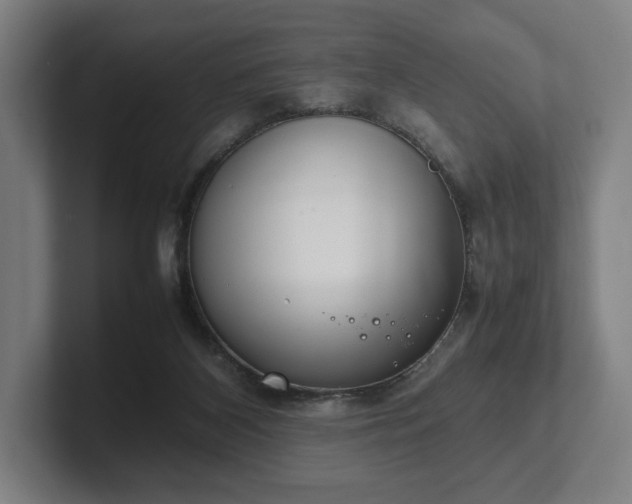 X0000101990116200807251234