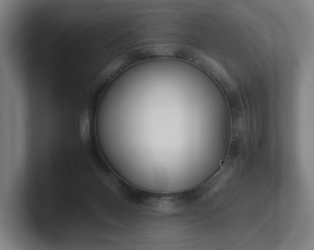 X0000101990120200807251234